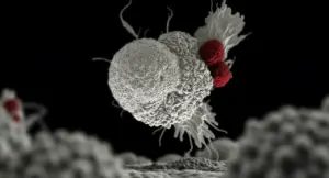 Cellule al microscopio interagiscono in un ambiente simulato