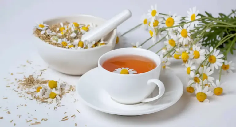 Tazza di tisana alla camomilla con fiori freschi e ciotola di erbe essiccate su sfondo chiaro