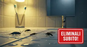 Insetti sul pavimento di un bagno illuminato, vicino a gocce d'acqua