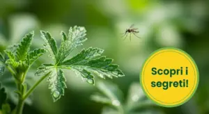 Zanzara in volo vicino a una pianta verde con foglie bagnate di rugiada