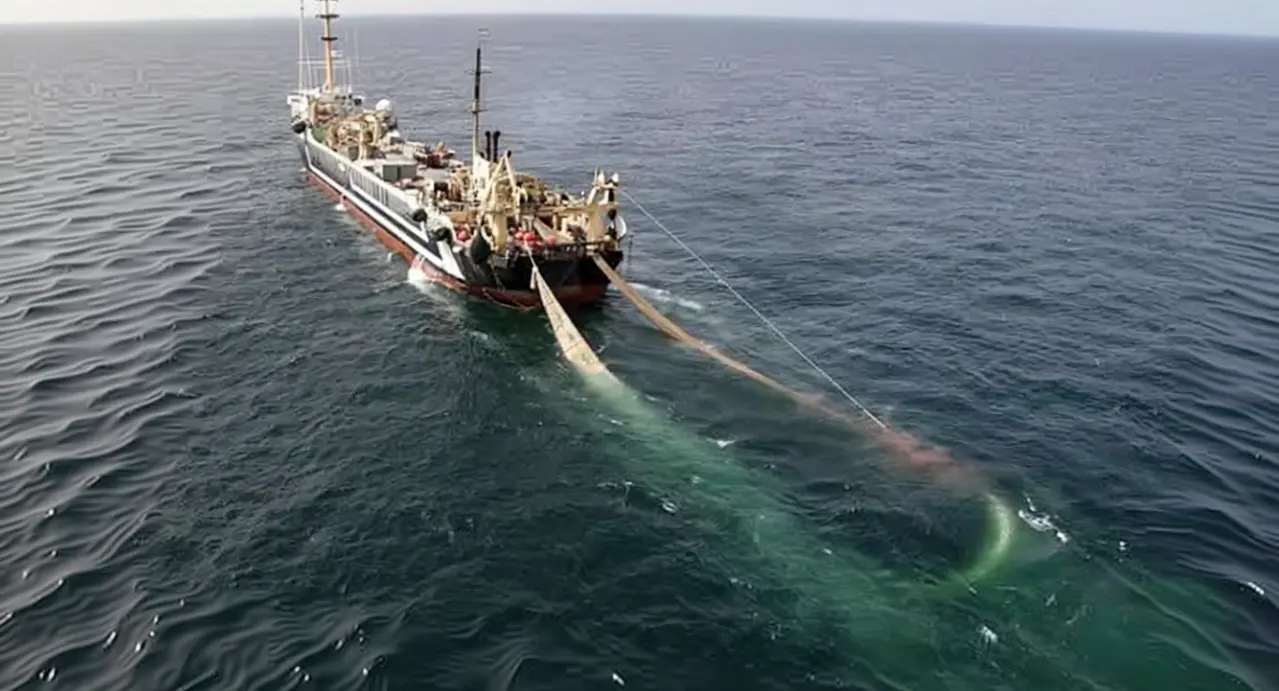 Peschereccio in mare aperto con reti da pesca in acqua